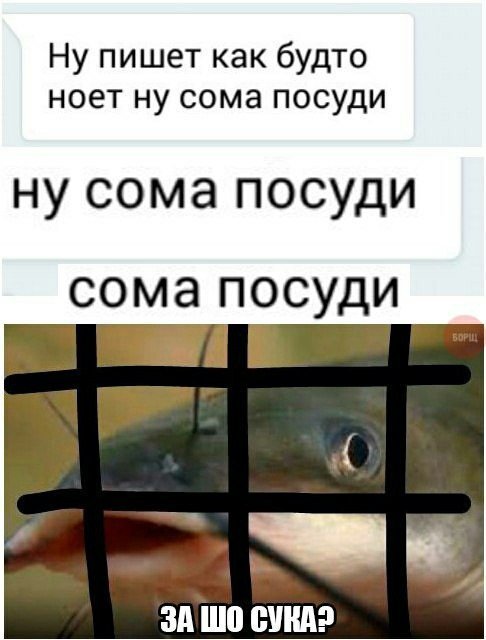 Анекдоты
