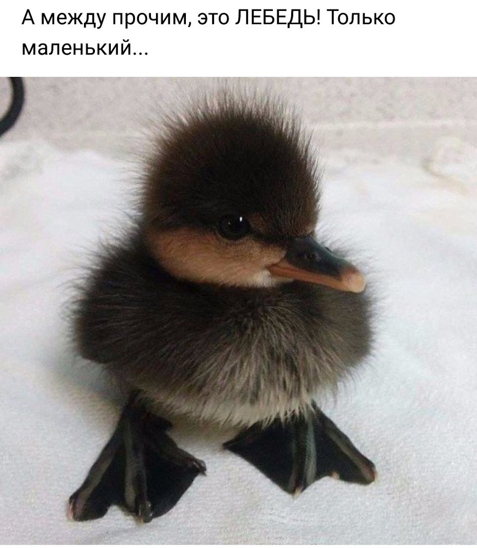 Анекдот о странном человеке