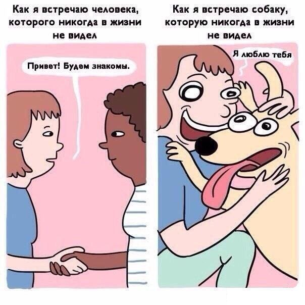 Самый лучший юмор