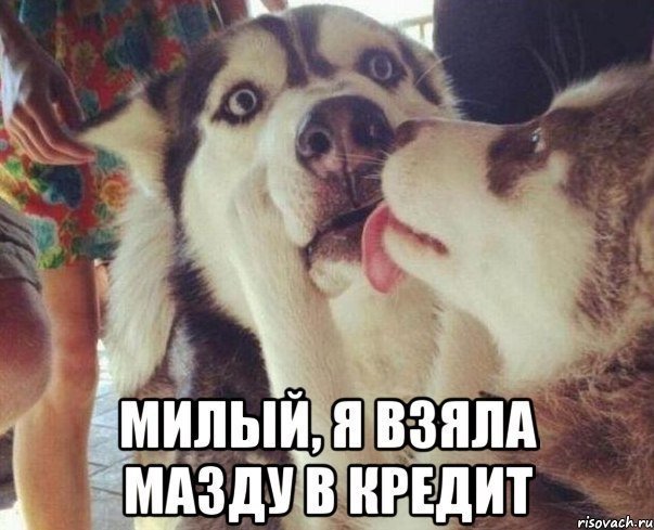 Отличные анекдоты