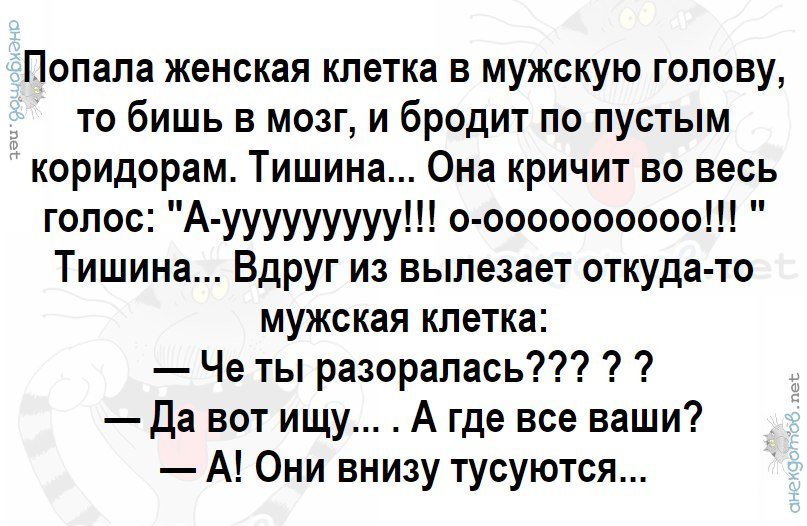 Анекдоты