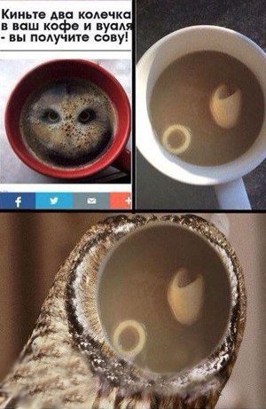 Смешные анекдоты