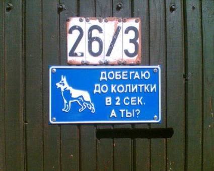 Анекдоты