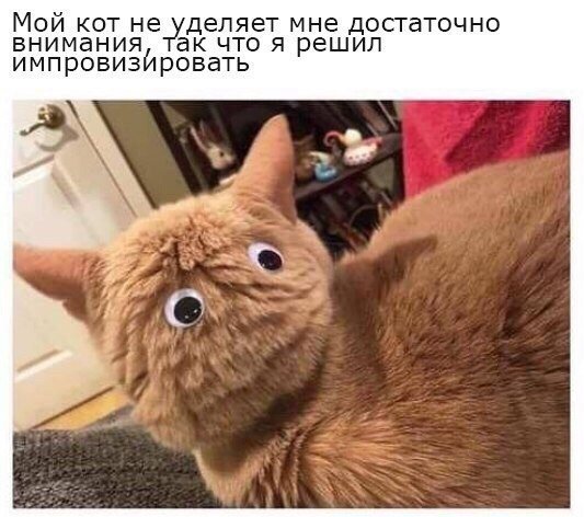 Отличные анекдоты
