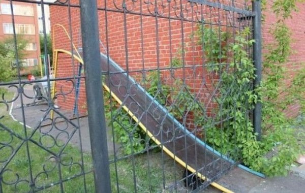 Анекдоты