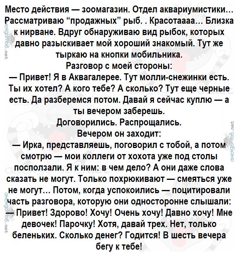 Хорошие анекдоты