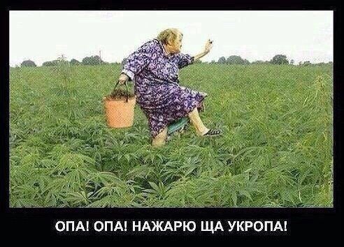 Анекдоты