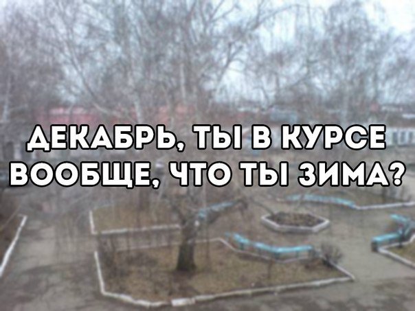 Хорошие анекдоты