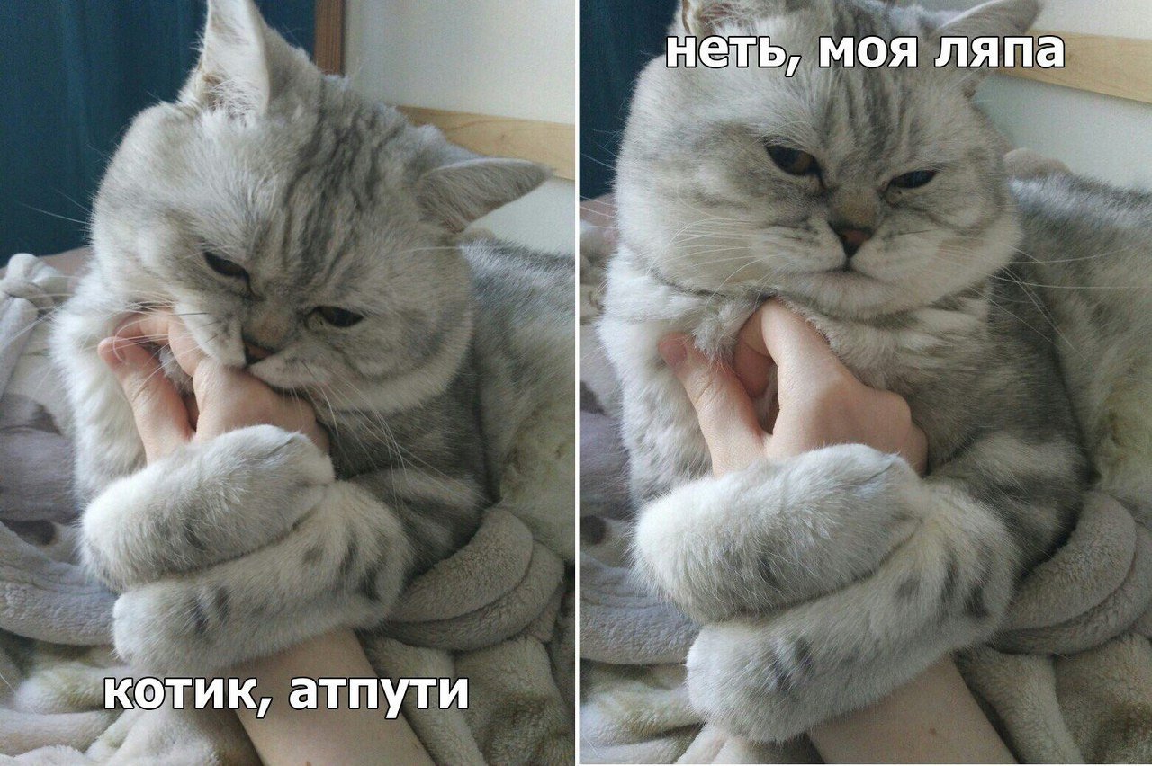 Анекдоты