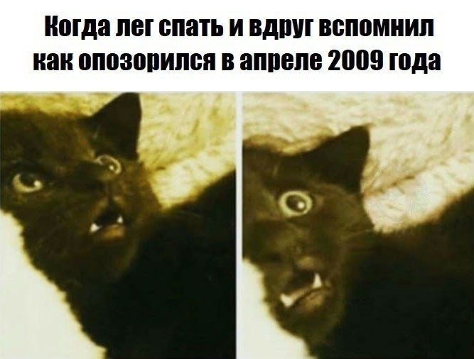 Отличные анекдоты