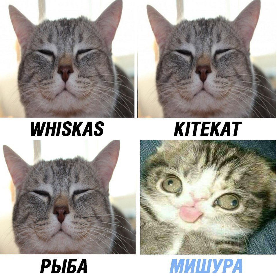 Анекдоты