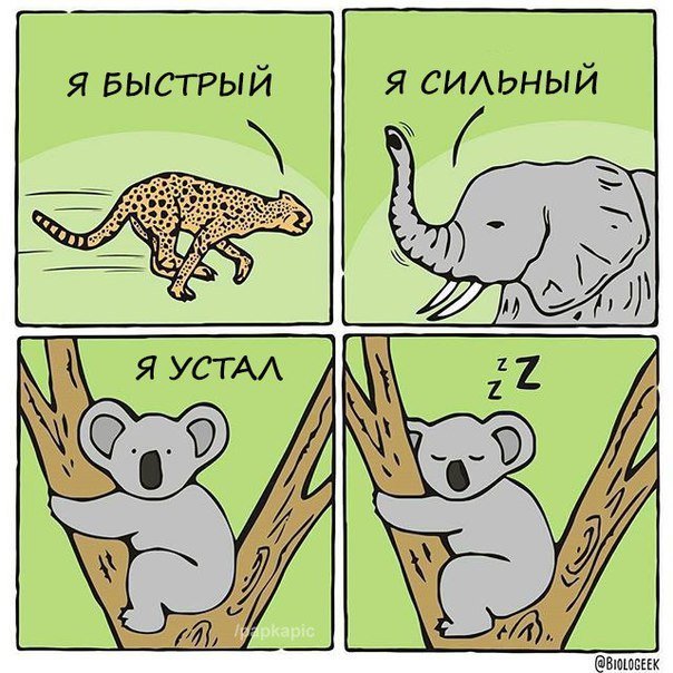 Хорошие анекдоты