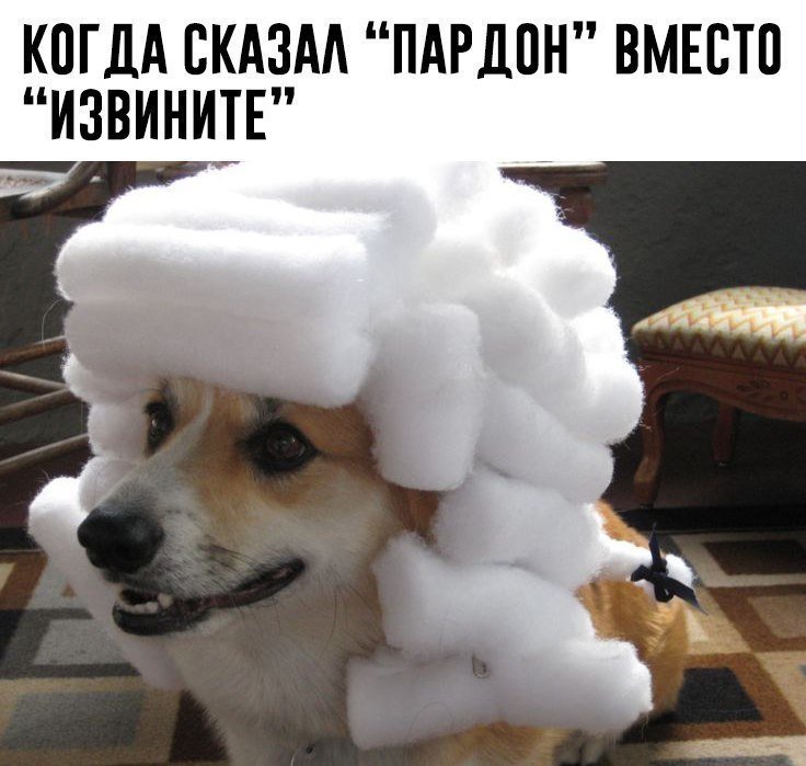 Анекдоты