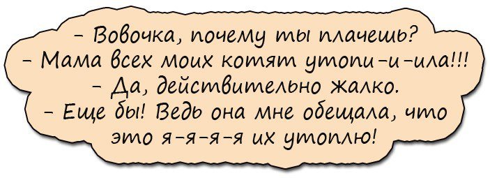 Анекдоты дня