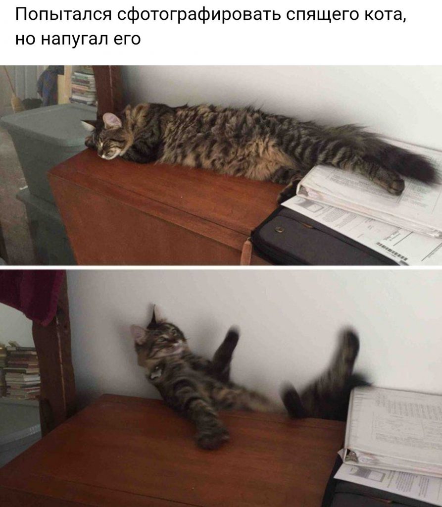 Анекдоты