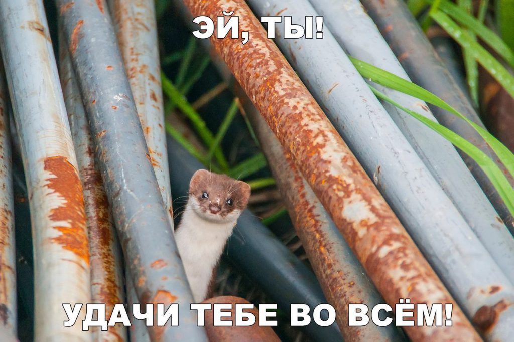 Отличные анекдоты