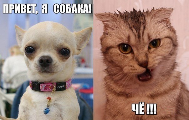Анекдоты