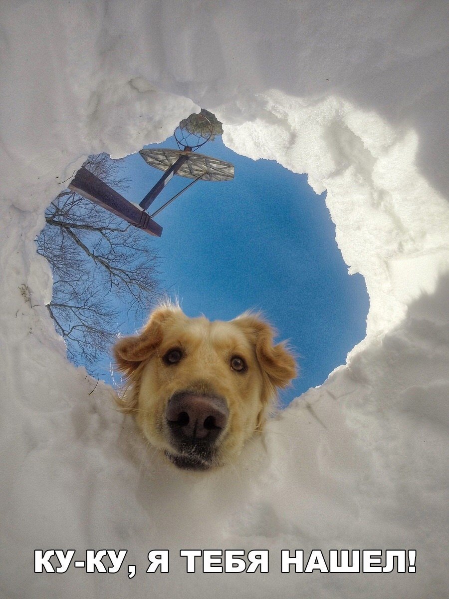 Отличные анекдоты