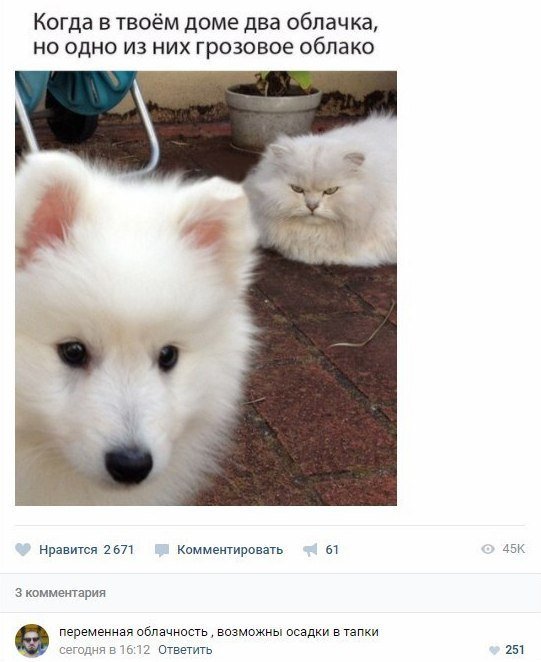 Смешные анекдоты