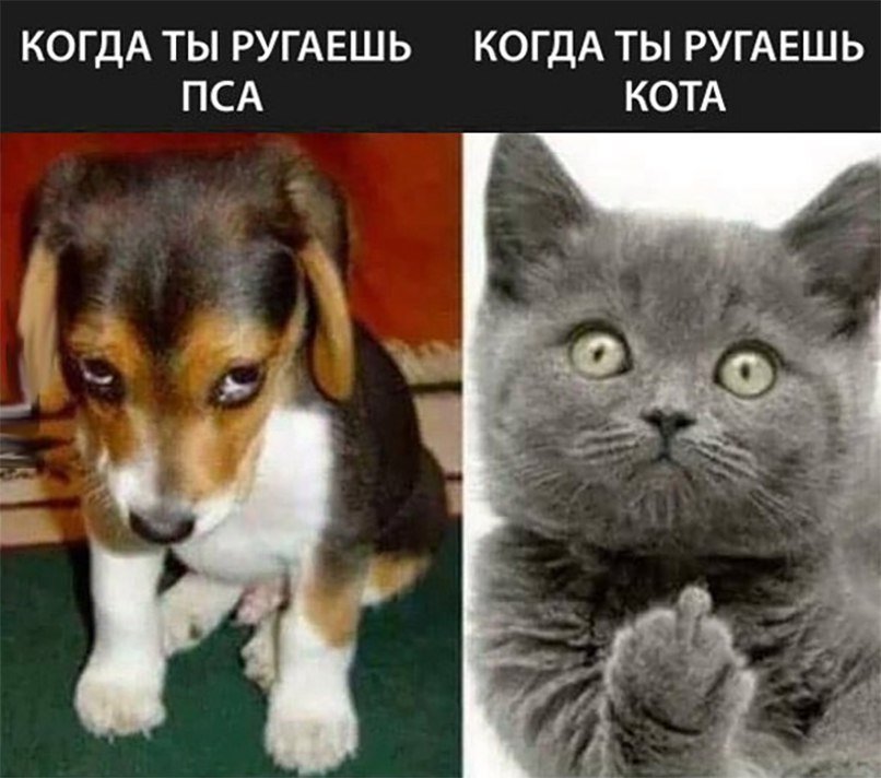 Хорошие анекдоты