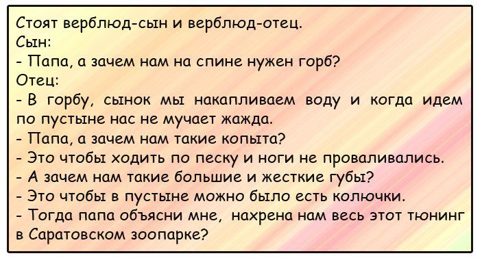 Анекдоты дня