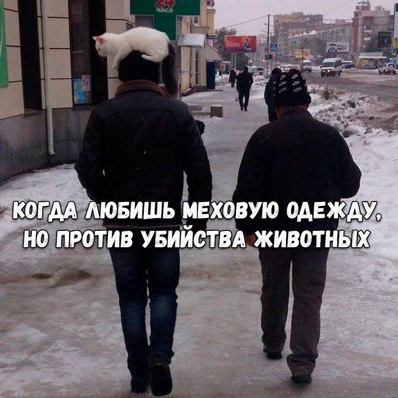 Хорошие анекдоты