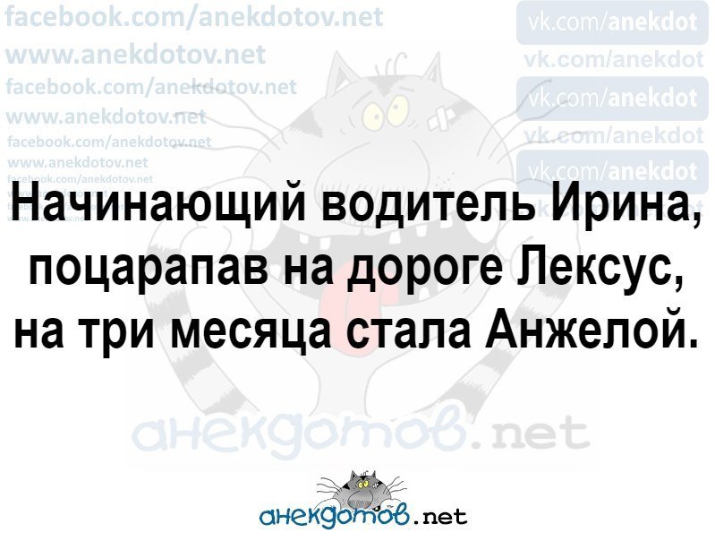 Отличные анекдоты