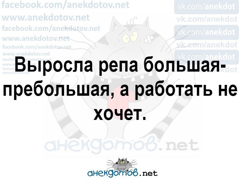 Анекдоты