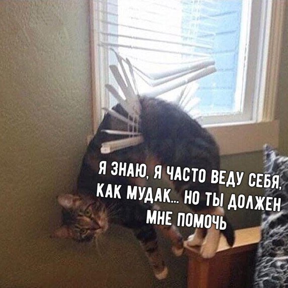 Хорошие анекдоты