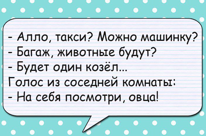Анекдоты для прекрасного настроения