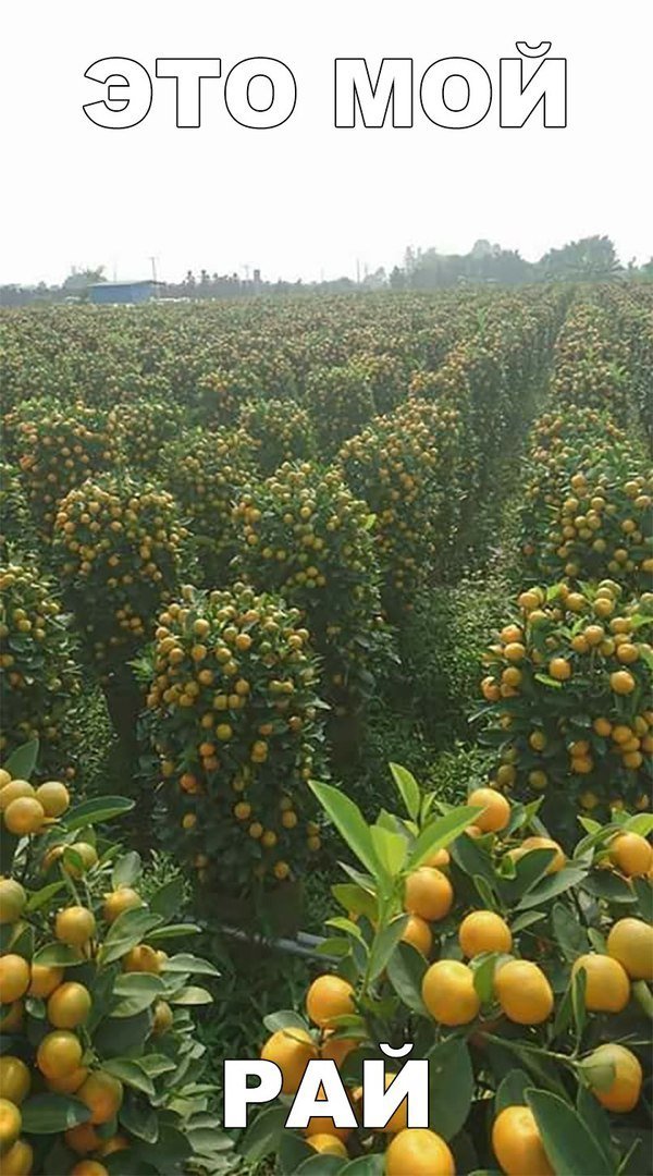 Смешные анекдоты