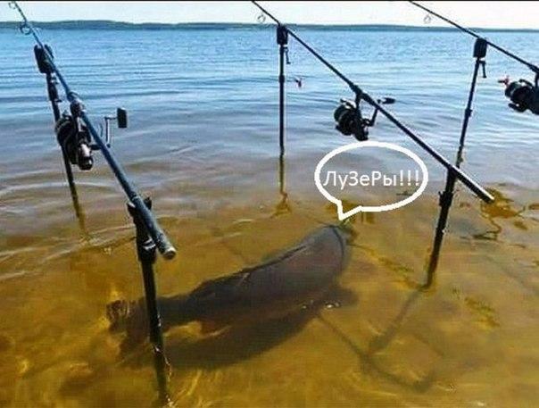 Анекдоты