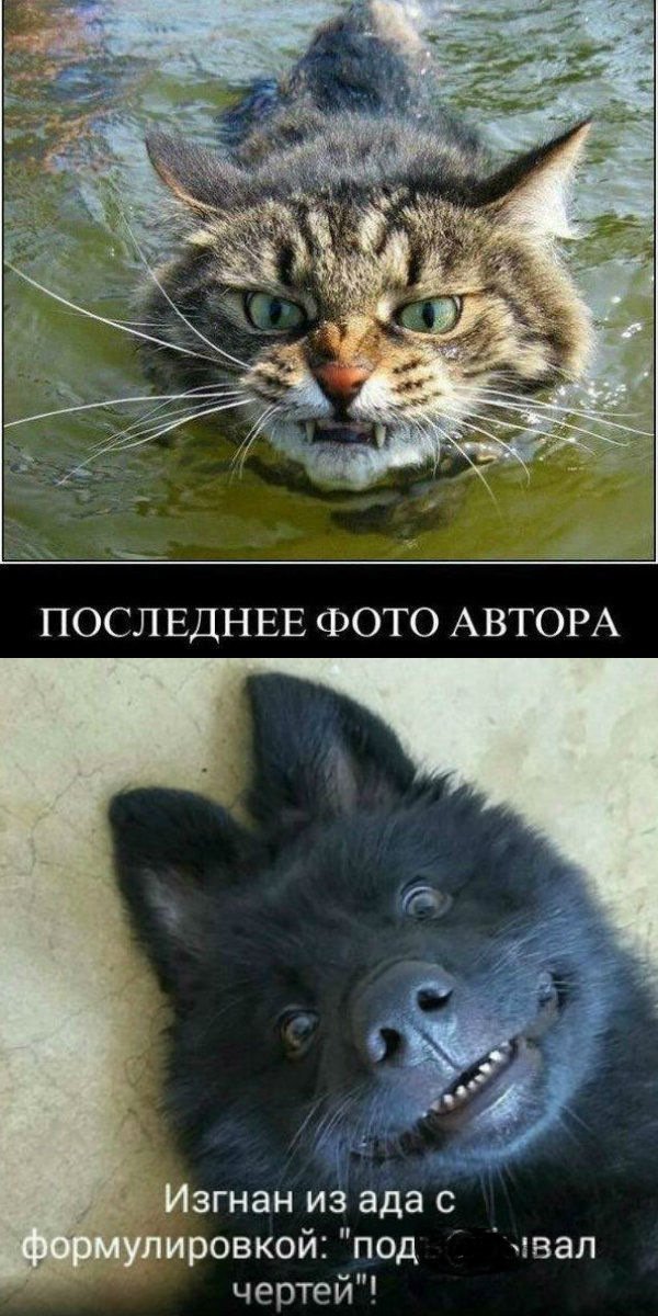 Анекдот про студентов