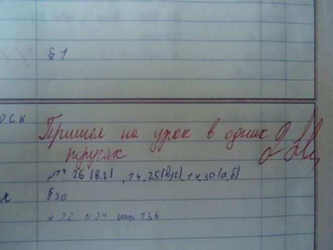 Будни учителей: 15 записей в школьных дневниках!