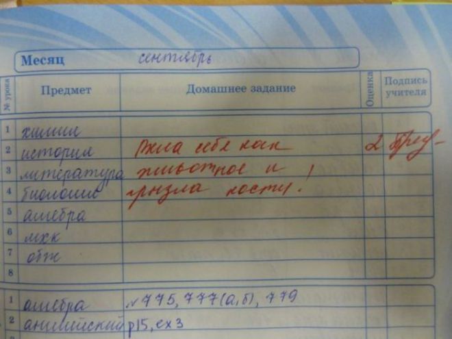 Будни учителей: 15 записей в школьных дневниках!