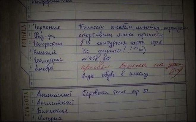 Будни учителей: 15 записей в школьных дневниках!