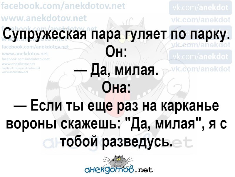 Анекдот про супружескую пару
