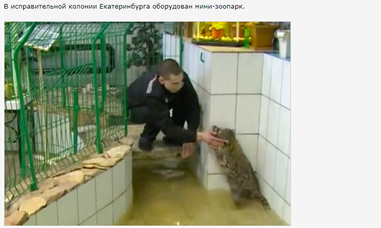 Как выглядят вип тюрьмы для чиновников