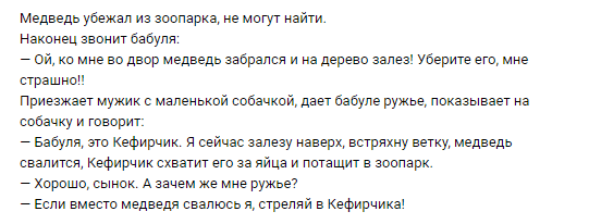Анекдот про медведя и бабулю