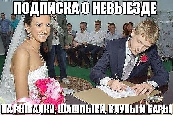От смеха уже начинает болеть живот!