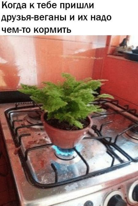 Анекдот про встречу у роддома
