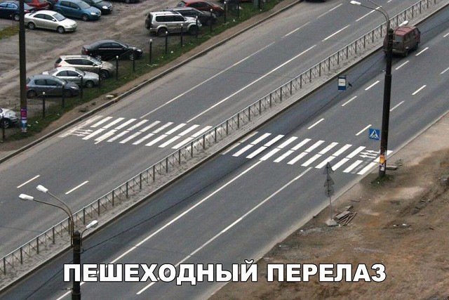 От смеха уже начинает болеть живот!
