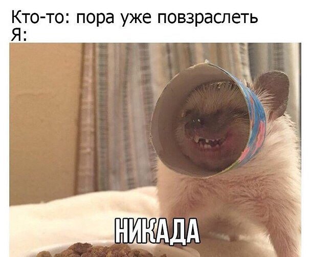Анекдот про школу