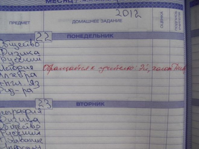 Будни учителей: 15 записей в школьных дневниках!
