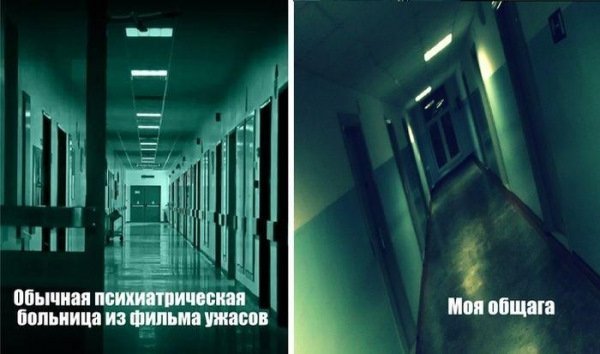 Реальная история о рассылке