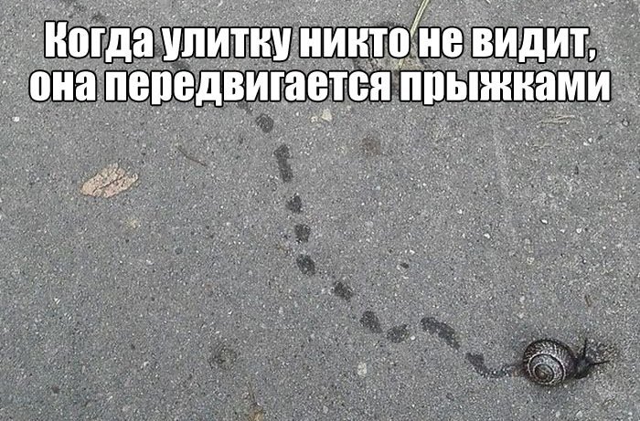 Анекдот про автолюбительницу