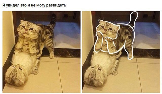 Реальная история о приеме на работу