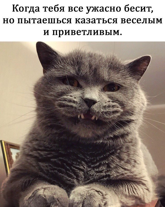 Анекдот дня