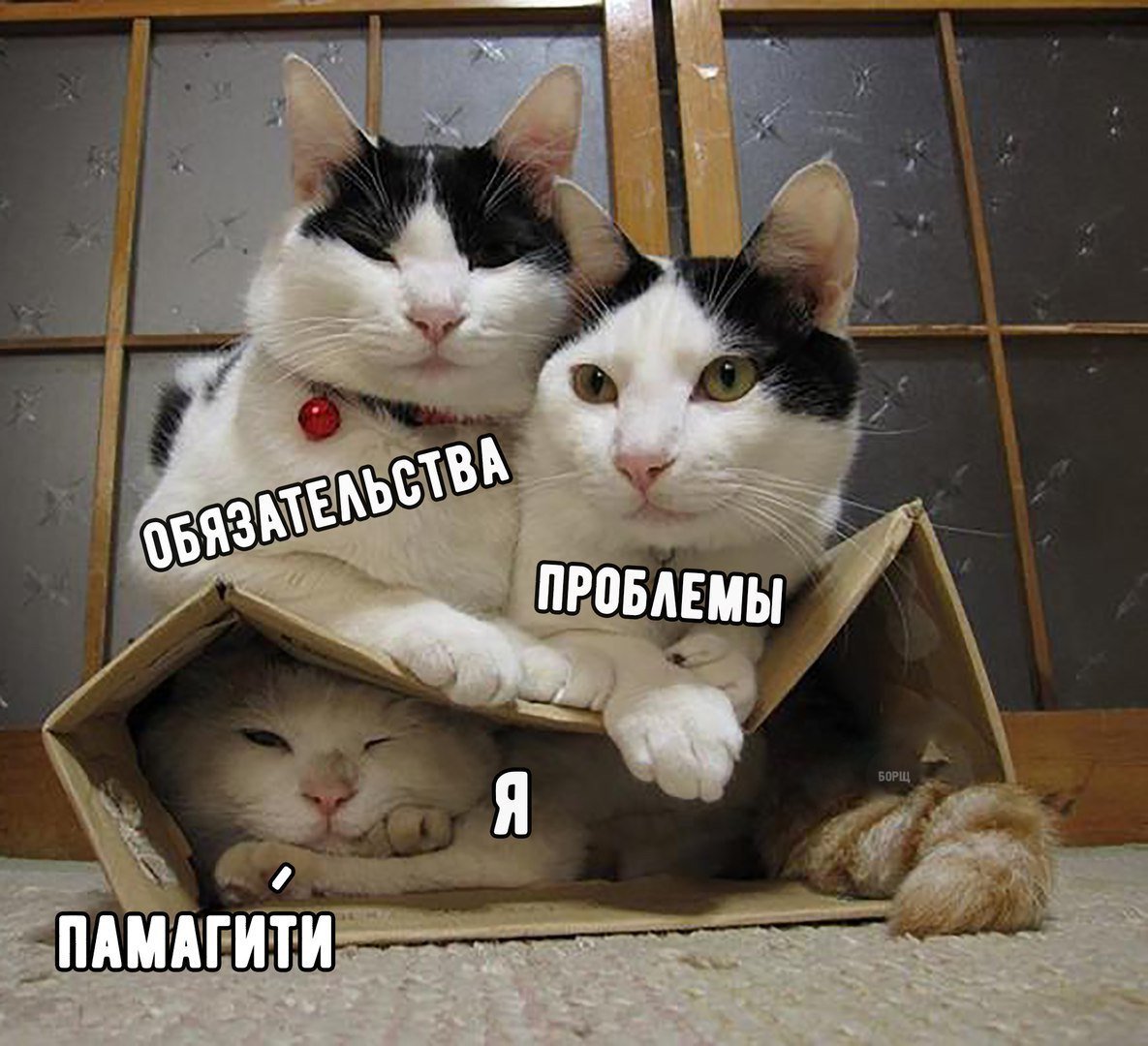 Анекдот про дразнилки