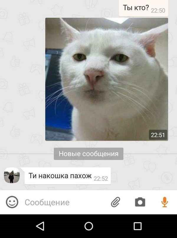 Настоящая история про коллег